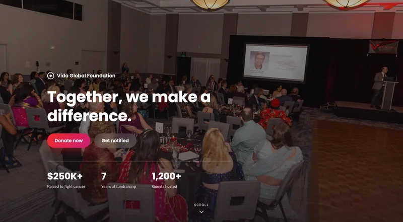 The Vida Global Foundation home page — a gala photograph behind the headline “Together, we make a difference”